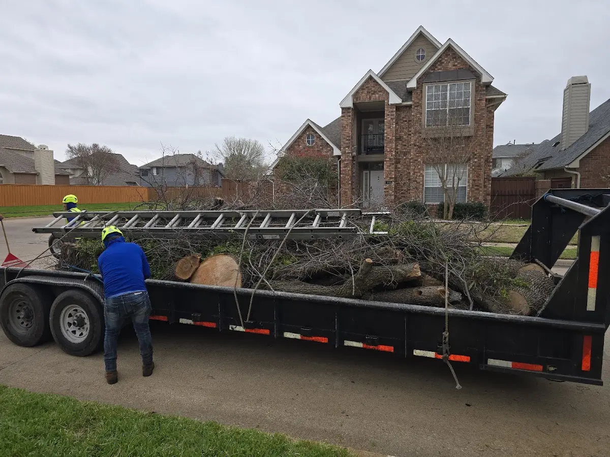 Expert Tree Fertilization with proper safety equipment in Seaman